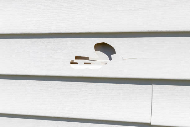 How To Choose The Right Materials for Your Siding Installation in 'Kemmerer, WY